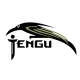Палатки Tengu в Туле