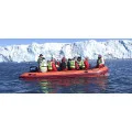 Надувная лодка Admiral 550 в Туле