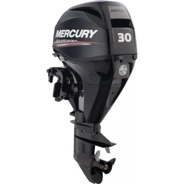 Мотор Mercury ME F 30 M GA EFI в Туле